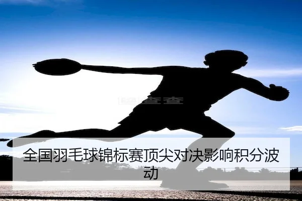 全国羽毛球锦标赛顶尖对决影响积分波动